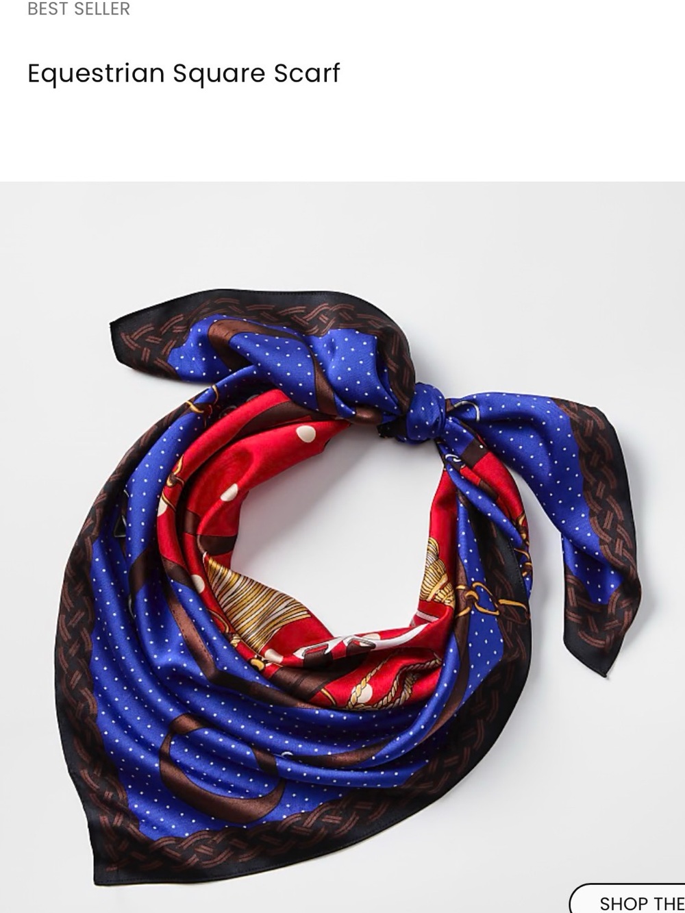 Loft Equestrian Square Scarf - Blue & Red